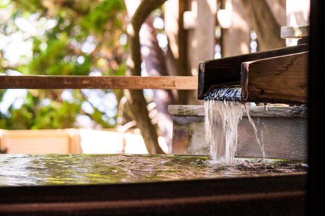Private Car Day Trip to the Kobe Mountains, Gardens and Hot Springs from Osaka - Arima Onsen gives the day its real payoff