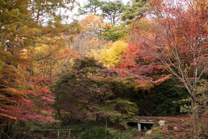Private Car Day Trip to the Kobe Mountains, Gardens and Hot Springs from Osaka - Costs, timing, and overall value