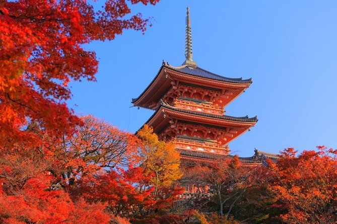 Private Day Tour in Osaka and Kyoto with charter car - Kiyomizu-dera and Kyoto’s eastern hills