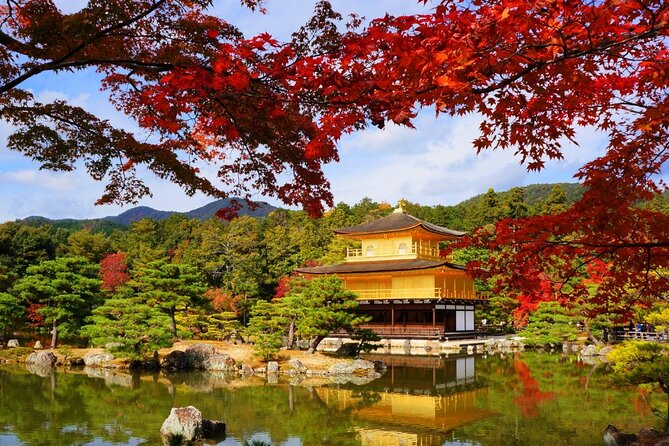 Private Day Tour in Osaka and Kyoto with charter car - Fushimi Inari’s torii gates