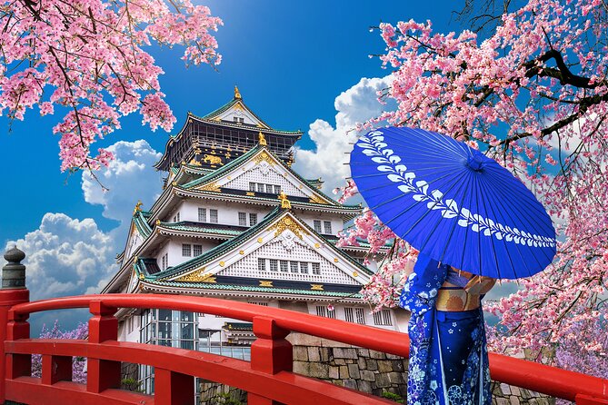 Private Day Tour in Osaka and Kyoto with charter car - Picking the right route for your day