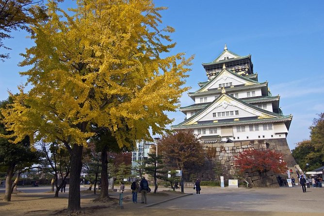 Private Departure Transfer: Osaka City to Osaka Itami Airport - Luggage rules you should take seriously
