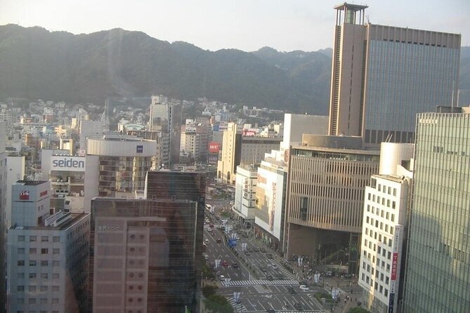 Private Full-Day Guided Tour in the City of Kobe - Who should book this Kobe day?
