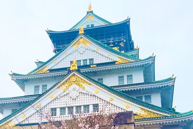 Private Osaka City Tour: Fusion of Tradition and Modernity - Shinsaibashi-suji for shopping and people-watching