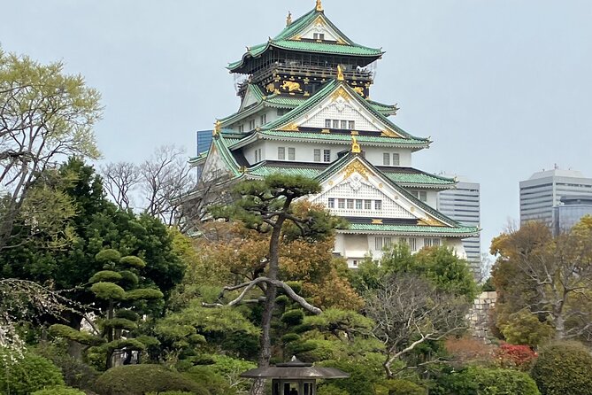 Private Osaka Tour with Hotel Meet Up - Dotonbori: neon, canal views, and Osaka food