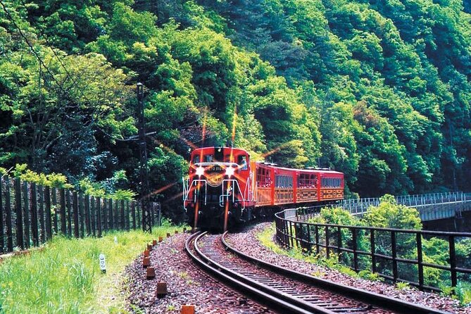Sagano Romantic Train & Arashiyama, Kiyomizudera, Fushimi Inari Taisha Day Tour - Kiyomizudera and the wooden stage