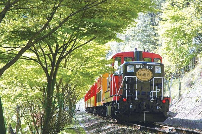 Sagano Romantic Train & Arashiyama, Kiyomizudera, Fushimi Inari Taisha Day Tour - What the guide and bus add