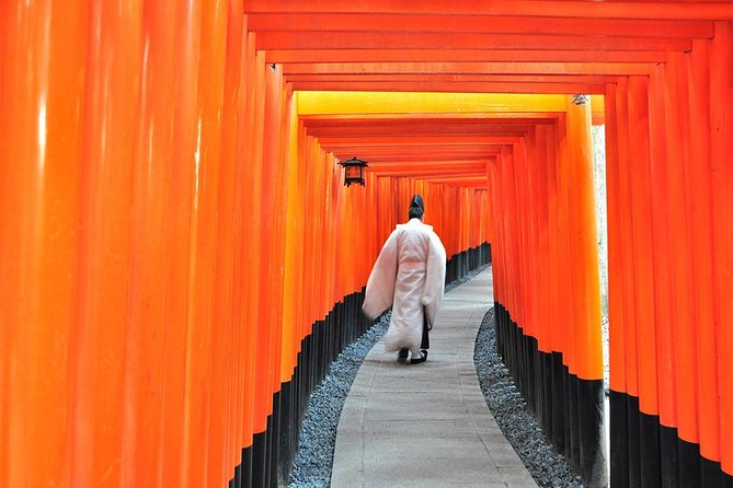 Sagano Romantic Train & Arashiyama, Kiyomizudera, Fushimi Inari Taisha Day Tour - Who should book this Kyoto day trip?