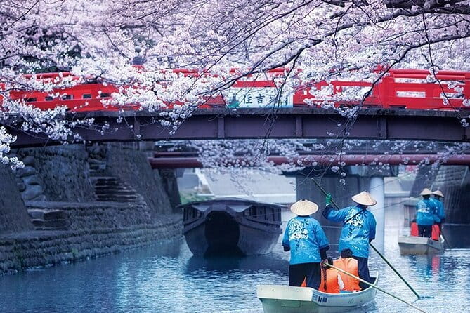 Sakura Magic and Nabana No Sato Day Tour From Osaka - What this Osaka day trip is really offering