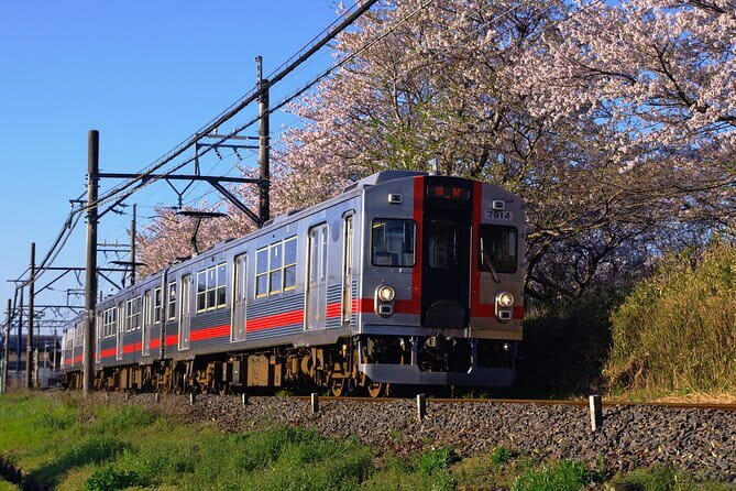 Sakura Magic and Nabana No Sato Day Tour From Osaka - Ogaki puts you on the water for 30 minutes