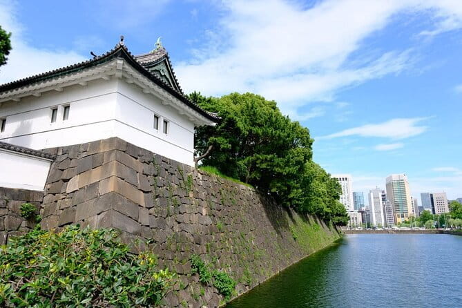 Sakura Magic and Nabana No Sato Day Tour From Osaka - The bus, group size, and pace