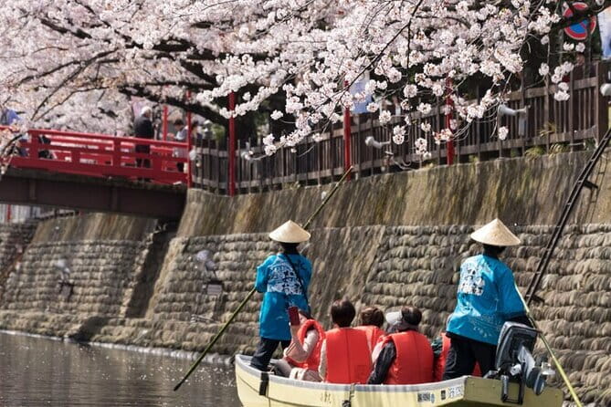 Sakura Magic and Nabana No Sato Day Tour From Osaka - The Yoro Railway ride and its possible sakura tunnel