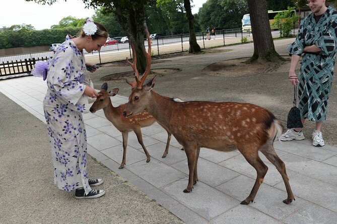Shore Excursion: Full Day Private Nara Tour from Osaka /Kobe port - Key points to know before booking