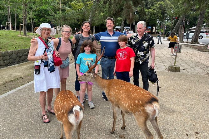 Shore Excursion: Full Day Private Nara Tour from Osaka /Kobe port - Meeting your guide at the port