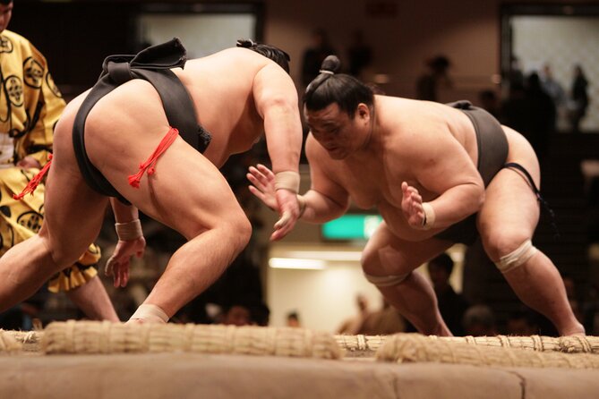 Sumo Wrestling Tournament Chair Seats & Expert Guide | Osaka Mar - Key points to know before you book