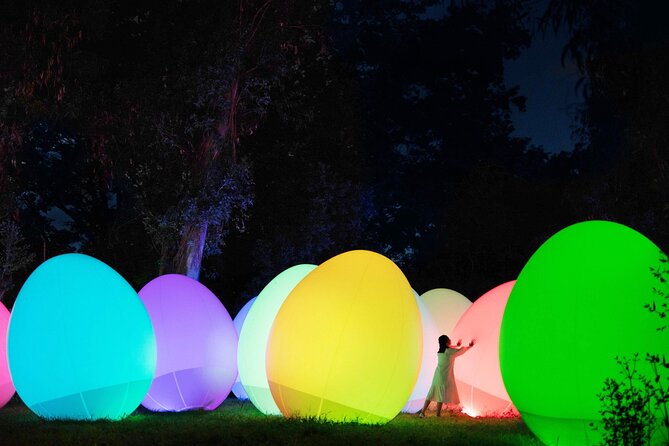 TeamLab Botanical Garden Osaka Ticket - Entering the garden after sunset