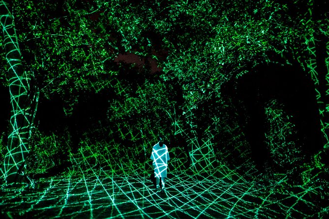 TeamLab Botanical Garden Osaka Ticket - How interactive is the artwork?