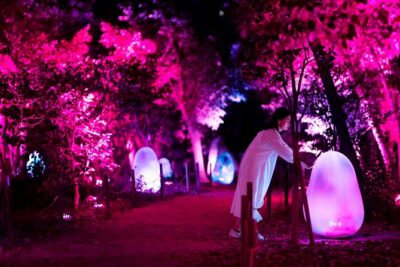 TeamLab Botanical Garden Osaka Ticket