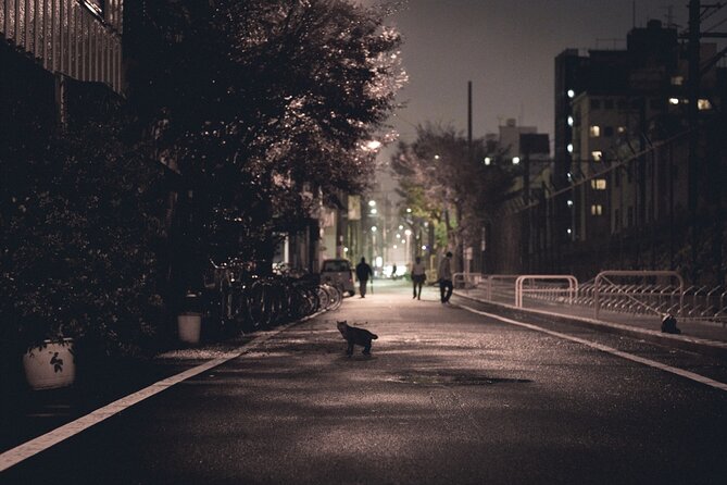 The Dark Side of Osaka Walking Tour - Timing, group size, and practical details