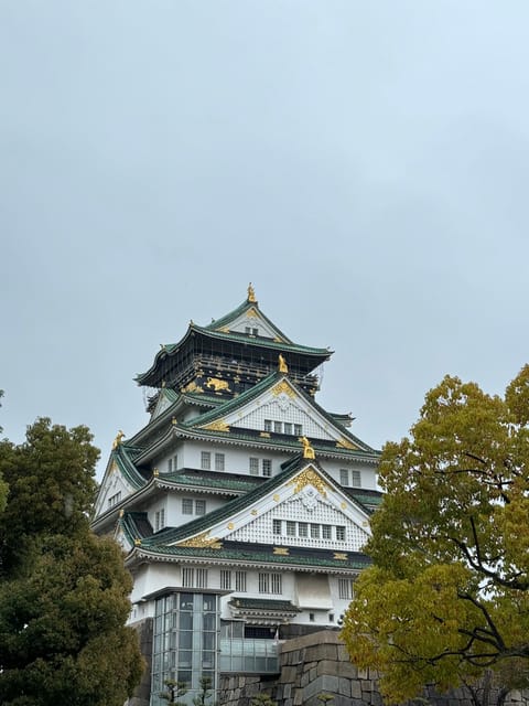 (Ticket Included) Explore Osaka Castle & Museum of History - Key points to know before booking
