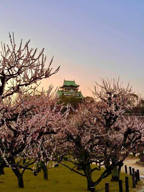 (Ticket Included) Explore Osaka Castle & Museum of History - Walking from the museum to Osaka Castle Park