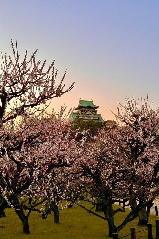 (Ticket Included) Explore Osaka Castle & Museum of History - Meeting at Naniwa Palace site
